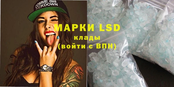 spice Алзамай